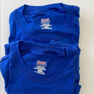 Hanes Blue T-Shirt